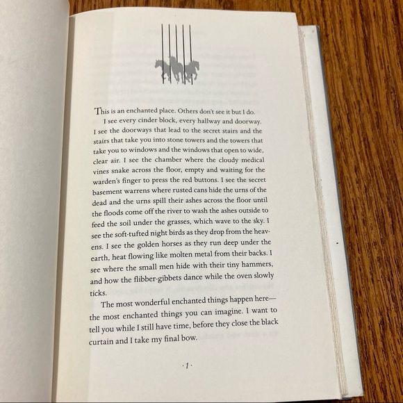 ❤️‍🔥 (5/20) The Enchanted A Novel by Rene Denfeld | Hardcover - Picture 7 of 8